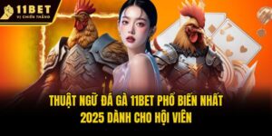 Thuật Ngữ Đá Gà 11bet Phổ Biến Nhất 2025 Dành Cho Hội Viên